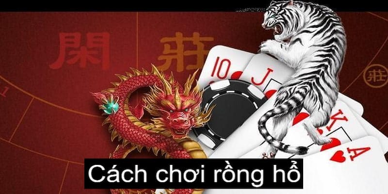 Hiểu rõ cách tính điểm Rồng Hổ để tham gia cá cược hiệu quả hơn