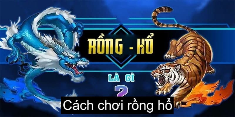 Rồng Hổ là sản phẩm cá cược phổ biến khắp các sòng bạc lớn nhỏ trên thế giới