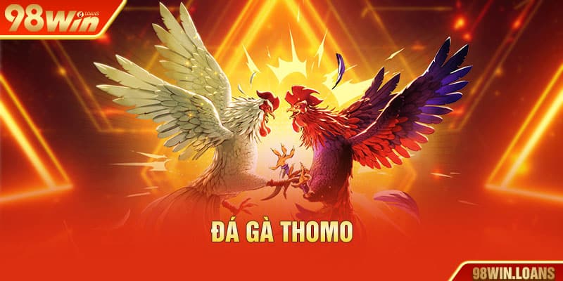 Đá gà Thomo